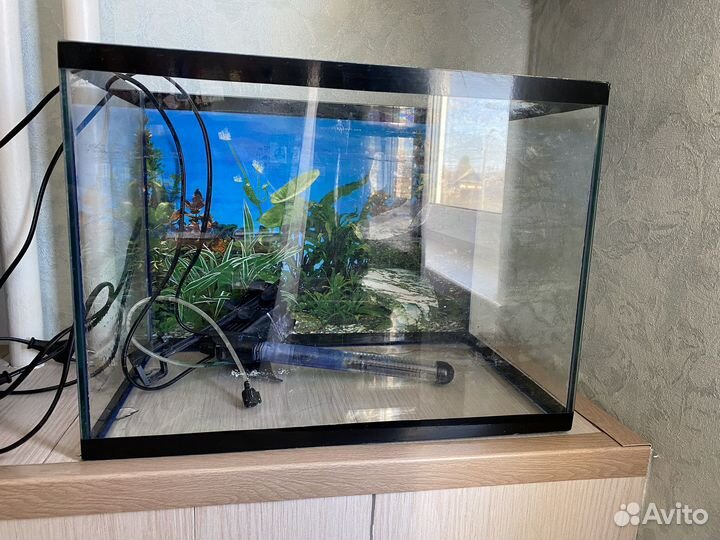 Аквариум