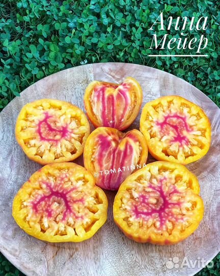 Семена коллекционных сортов томатов