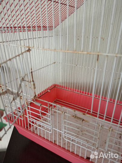Клетка 3 шт