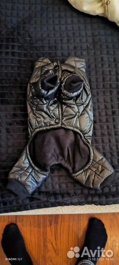 Куртка для собак мелких пород