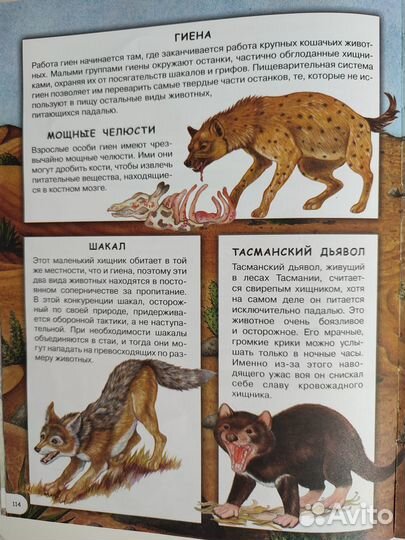 Энциклопедия