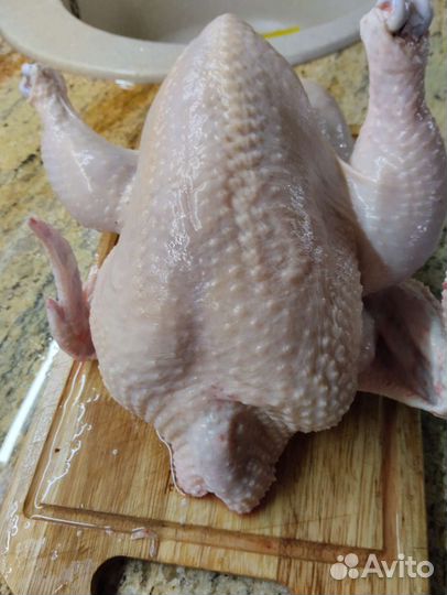 Мясо домашнего цыплёнка броллера