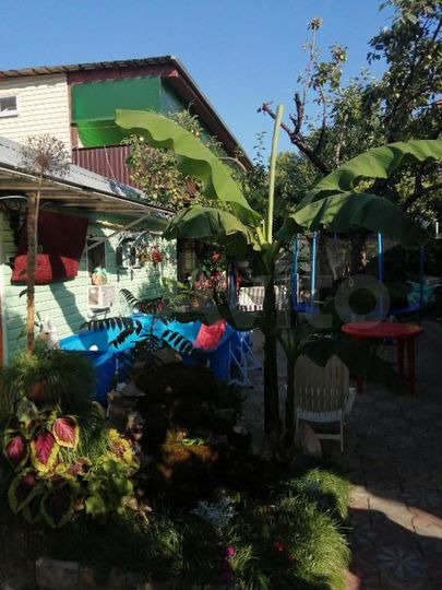 Комната 19 м², 1/2 эт.