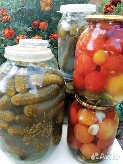 Солёные хрустящие огурчики из своего огорода