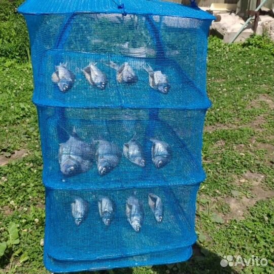 Сушилка для рыбы