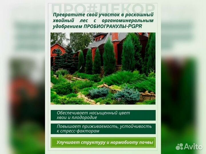 Пробиогранулы pgpr для хвойных