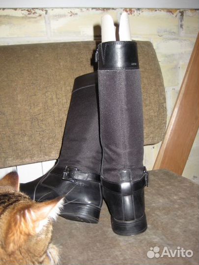 Сапоги Geox демисезон. на дев. 35р,на стопу-22,5см