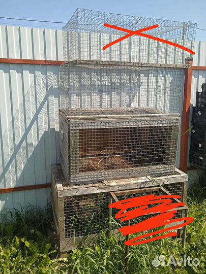 Клетки для кур, цыплят и кроликов, кормушки,поил