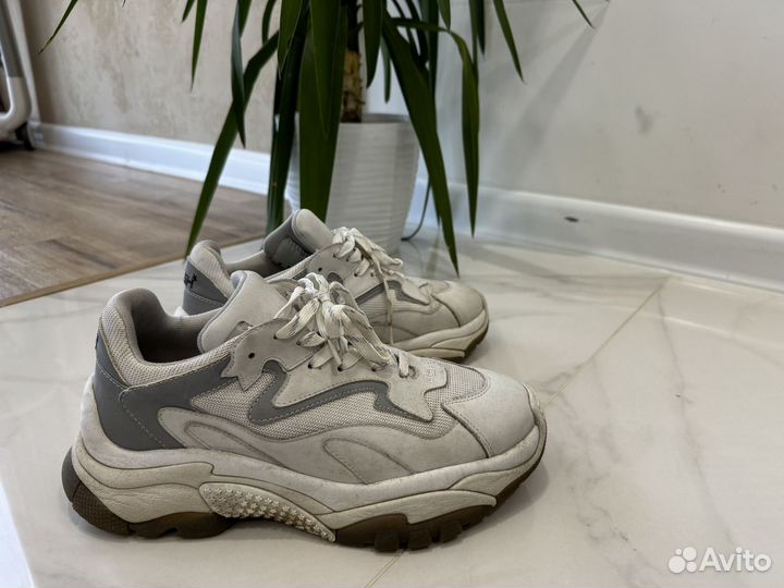 Кросовки ash 43