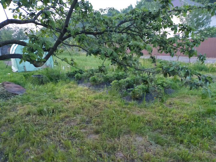 Участок 6 сот. (СНТ, ДНП)