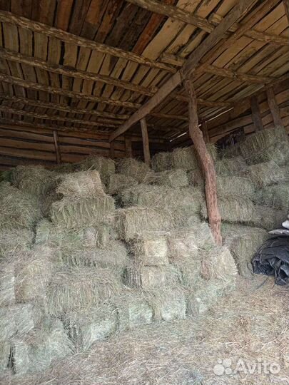 Сено в тюках