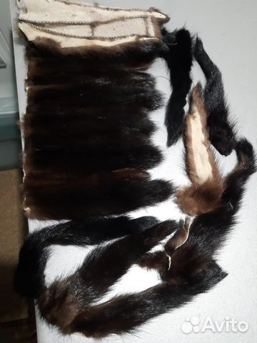 Хвосты норки