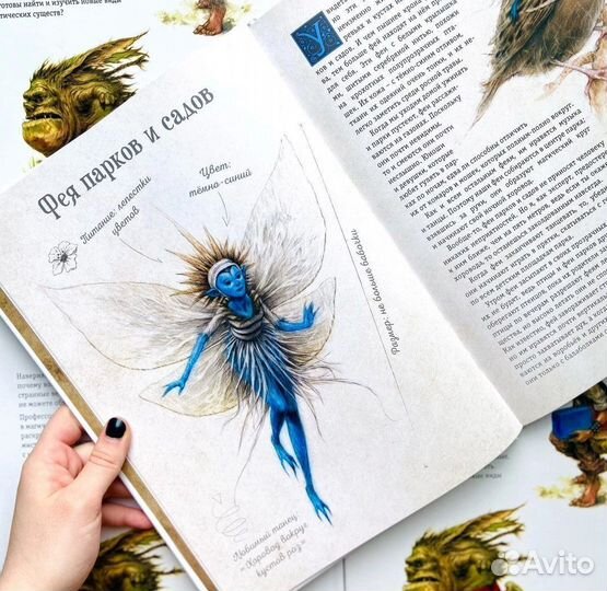 Книга детская