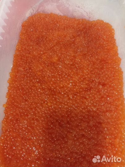 Икра кеты 2023 года