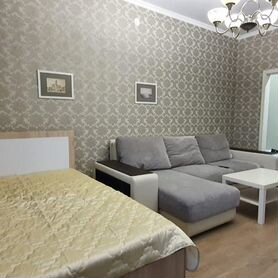 1-к. квартира, 50 м², 2/5 эт.