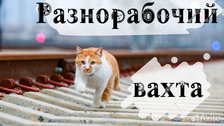 Разнорабочий вахта