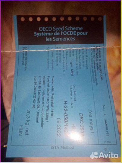 Семена Кукурузы Оригинал