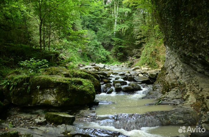 Тур в Сочи Лоо