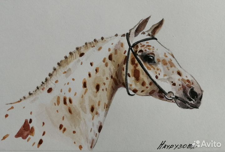 Рисунок акварель