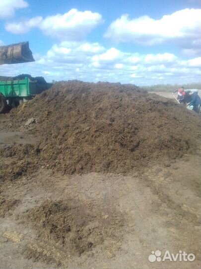 Перегной, навоз