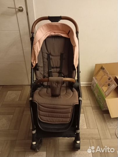 Прогулочная коляска Rant Bloom