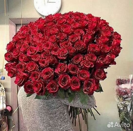 101 роза цветы букеты доставка 25 51 101 роза