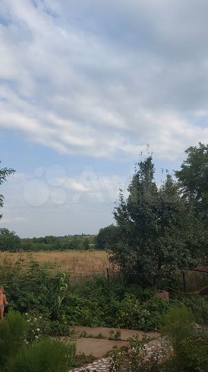 Участок 40 сот. (ИЖС)