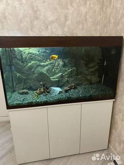 Аквариум на 500 литров