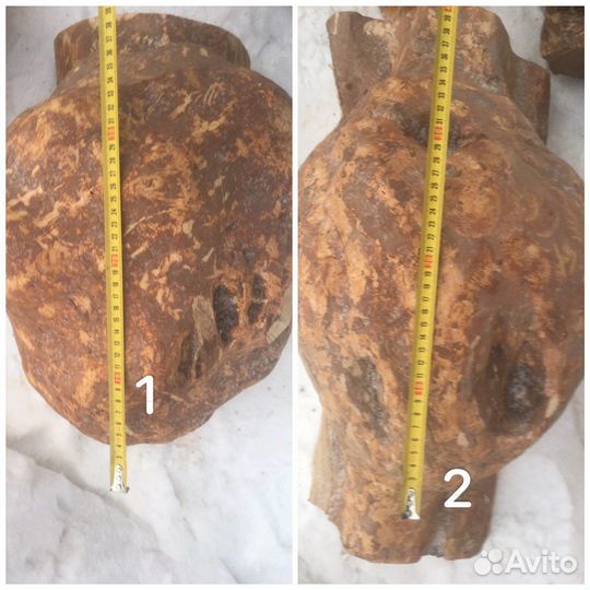 Кап Сувель Березовый сухой