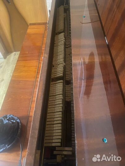 Фортепиано Отрада