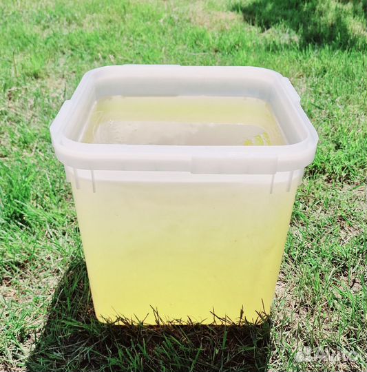 Мед майский, белой акации 2023 г