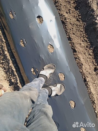 Фрезерование земли