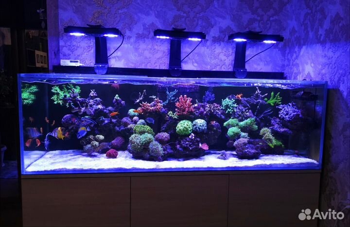 Морской аквариум комплект
