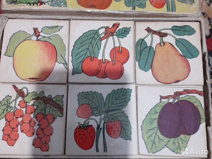 Игра лото ботаническое