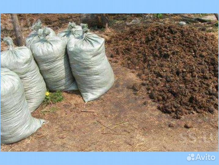 Навоз - перегной (коровий). В мешках по 30-35 кг