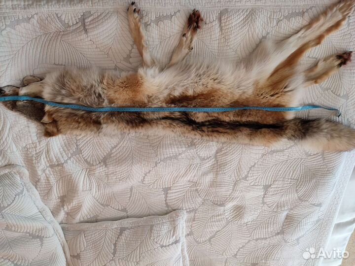 Шкура волка чулком