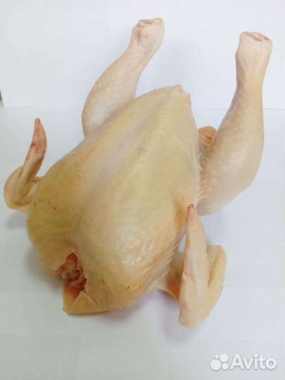 Мясо птицы
