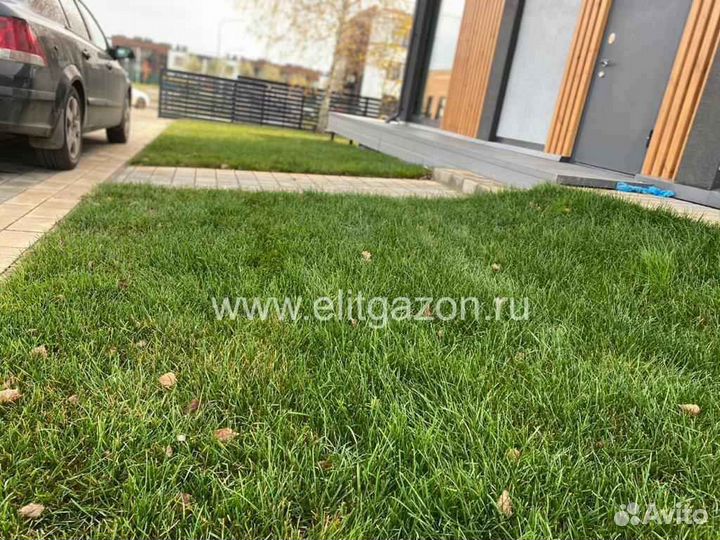 Укладка и продажа рулонного газона