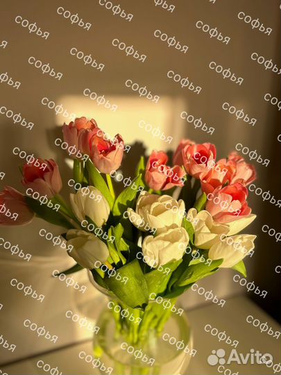 Тюльпаны к 8 марта