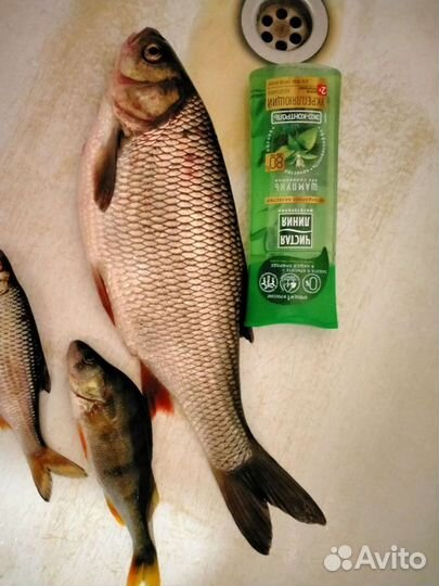 Ведро для Мотылей,рыбак