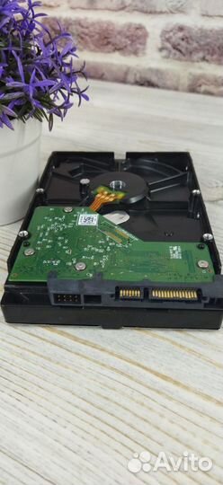 Жесткий диск Western Digital Green 500gb