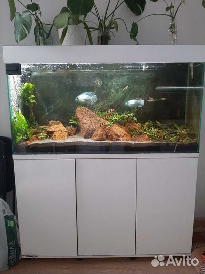 Большой Аквариум с тумбой примерно 300 литров