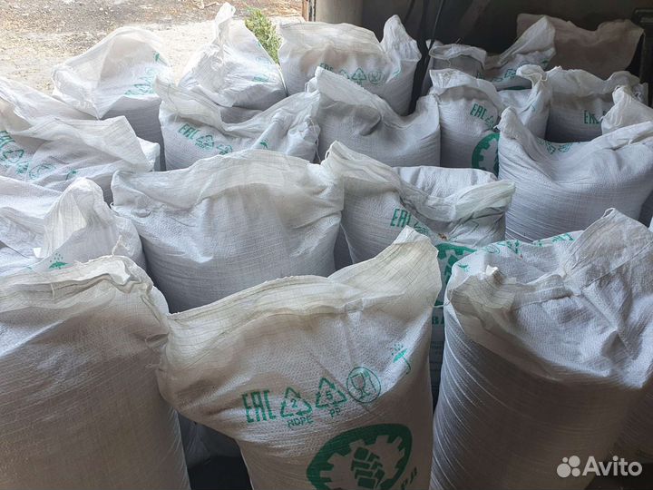 Пшеница озимая