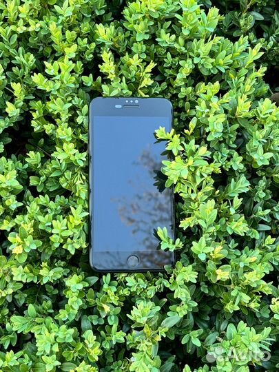iPhone 8 Plus, 64 ГБ