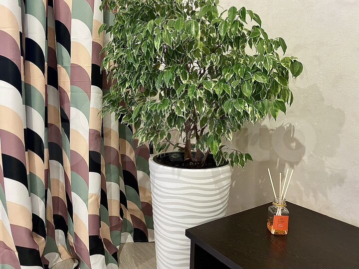 1-к. квартира, 33,8 м², 3/9 эт.