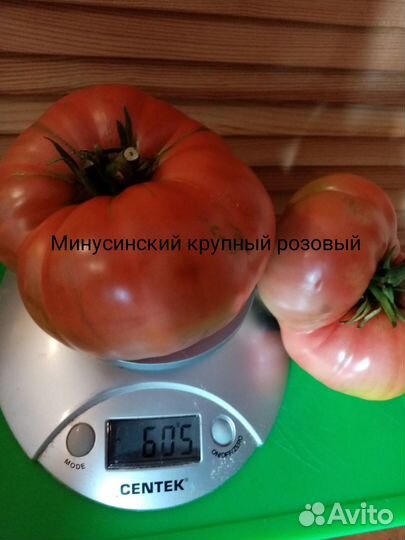 Коллекционные семена Минусинских томатов