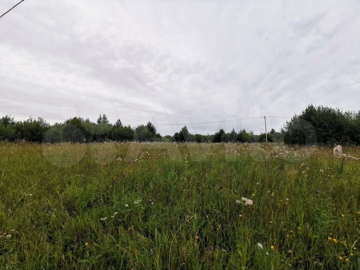 Участок 15 сот. (СНТ, ДНП)