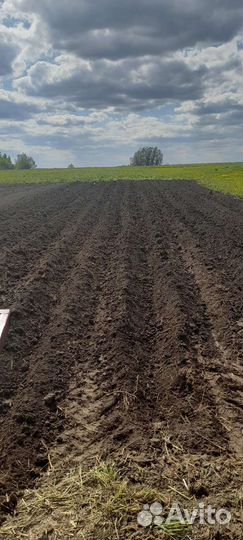 Почвофреза, 2021