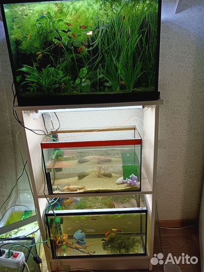 Аквариум с тумбой