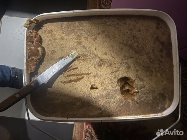 Мёд гречиха